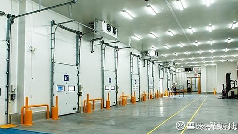 上海冷库板：揭秘其材质、性能与选型要点